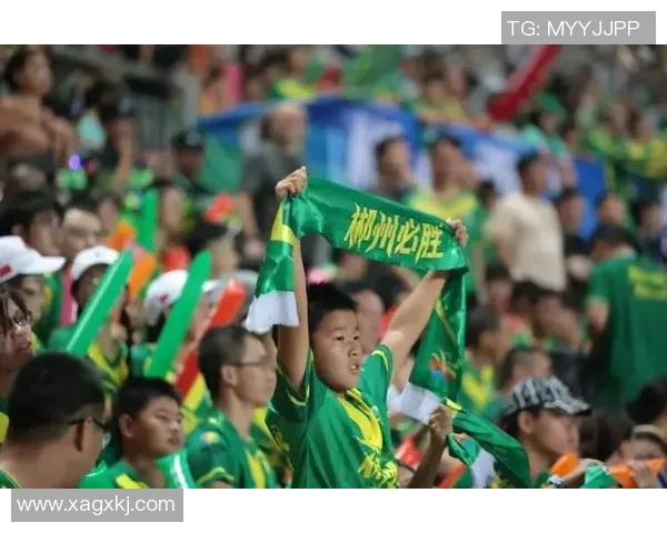 郴州足球明星名单正式公布引发球迷热议与期待